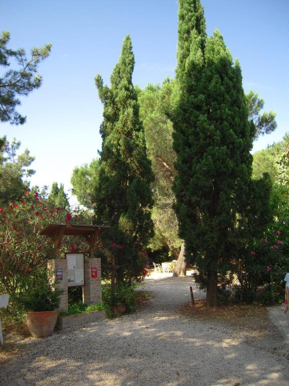 Manade Cavallini - Mas De Pioch Saintes-Maries-de-la-Mer Exterior photo